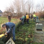 Plantning ved bierne