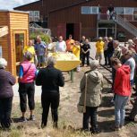 Byggeri-af-pavillion